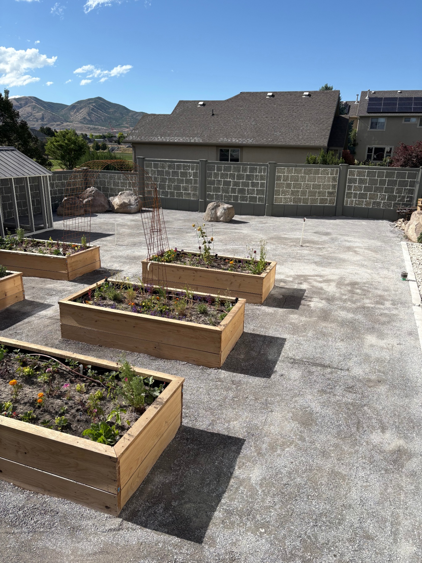 After photo of the finished Utah backyard: clean light gray gravel patio, completed wooden raised garden beds full of flowers and plants, decorative boulders, greenhouse, and Wasatch mountain views.